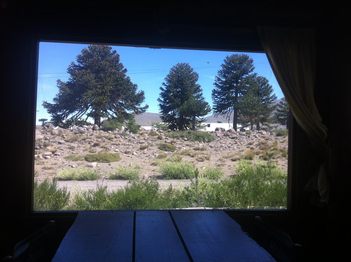 Hosteria De Montana Los Duendes Del Volcan كافياهو المظهر الخارجي الصورة